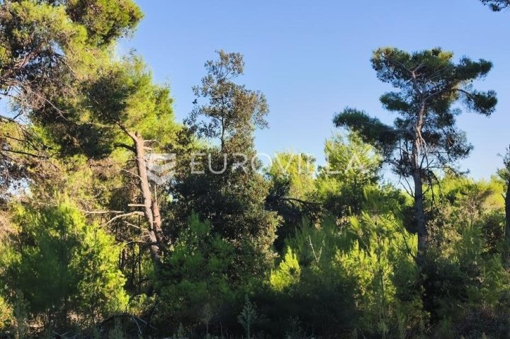 Pozemok na predaj 802 m² – Vir