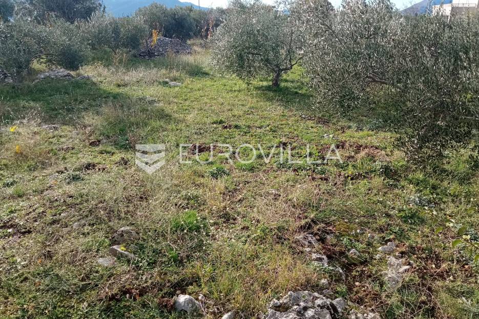 Zemljište Na prodaju -  Šestanovac