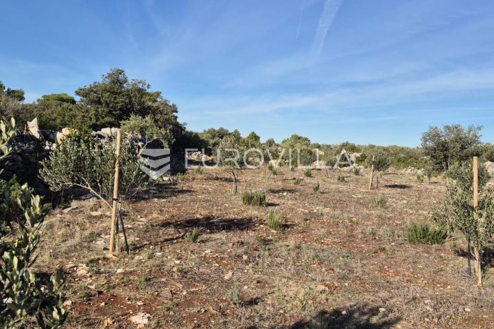 Land For sale - Splitsko-dalmatinska šolta - foto 3/9