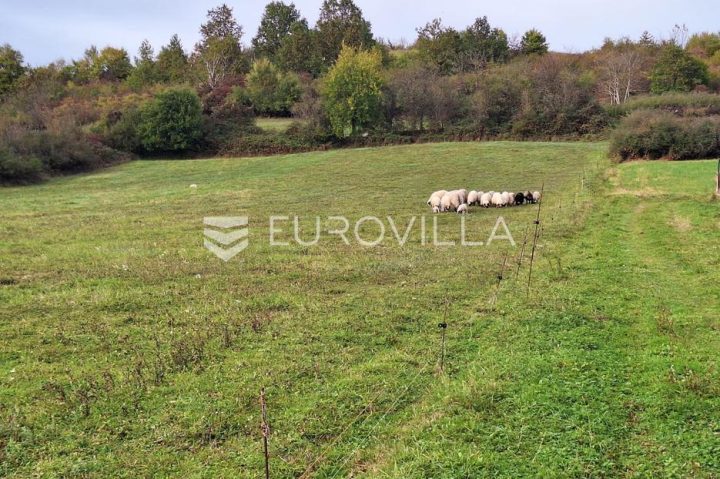 Działka na sprzedaż 7000 m² – Tušilović