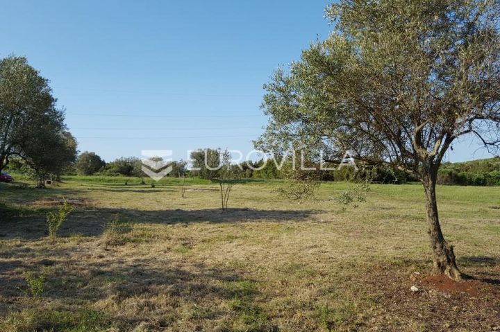 Działka na sprzedaż 6599 m² – Rovinjsko Selo