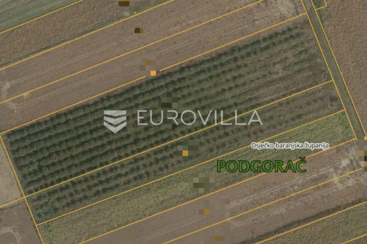 Pozemok na predaj 11622 m² – Podgorač
