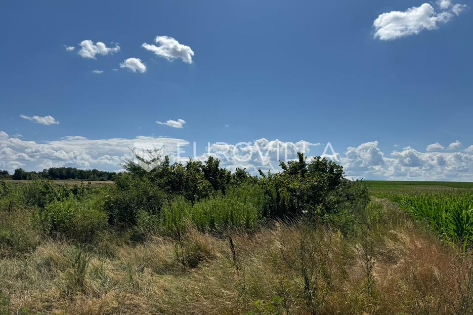 Terrain À vendre - Osječko-baranjska Podgorač - foto 2/3