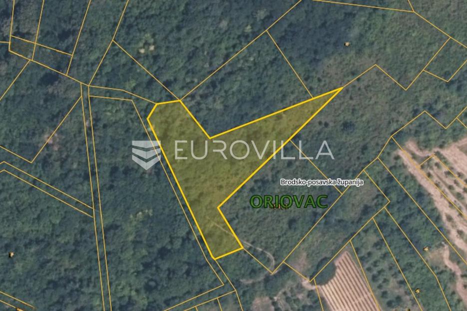 Zemljište Na prodaju -  Oriovac