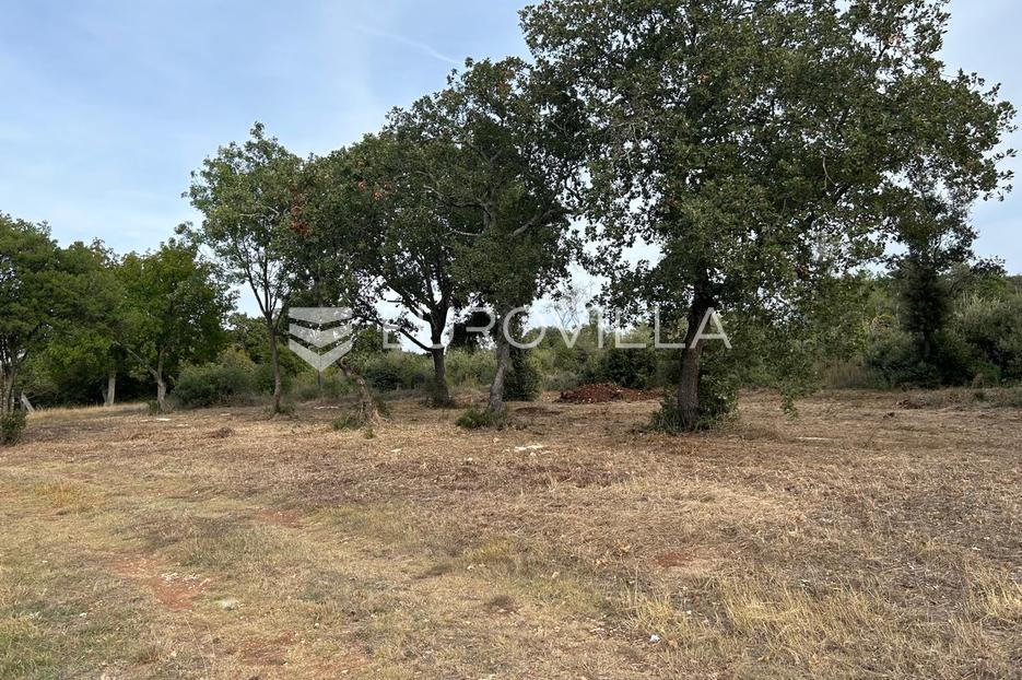 Land For sale -  Vodnjan
