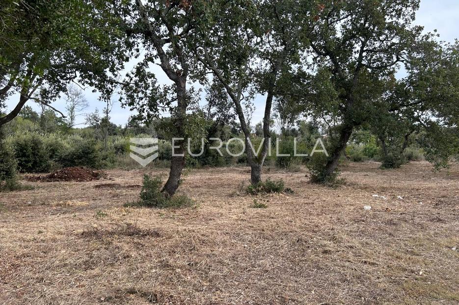 Land For sale -  Vodnjan