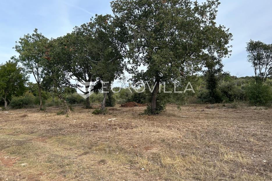 Land For sale -  Vodnjan