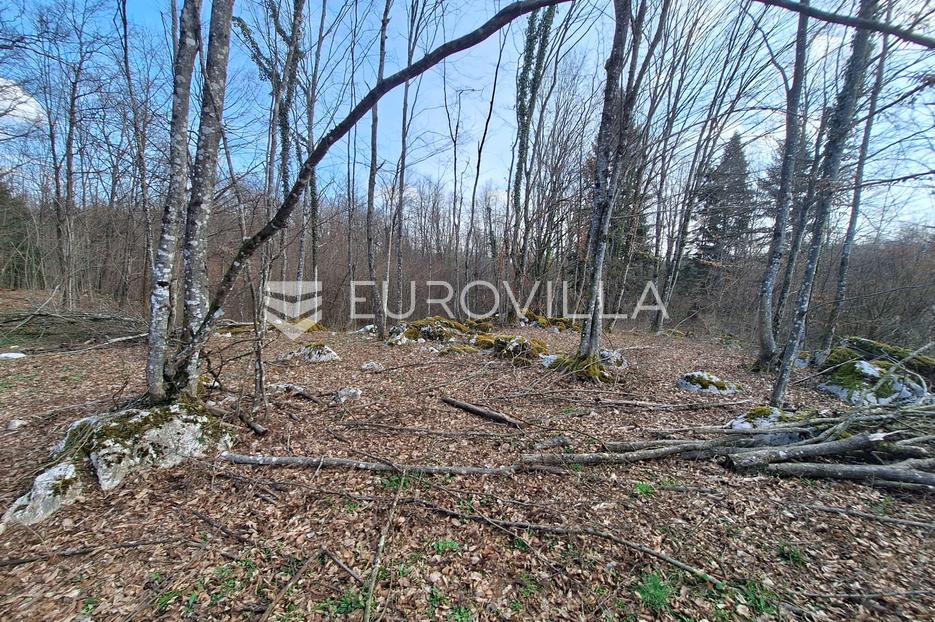 Terreno In vendita - Karlovačka Bosiljevo