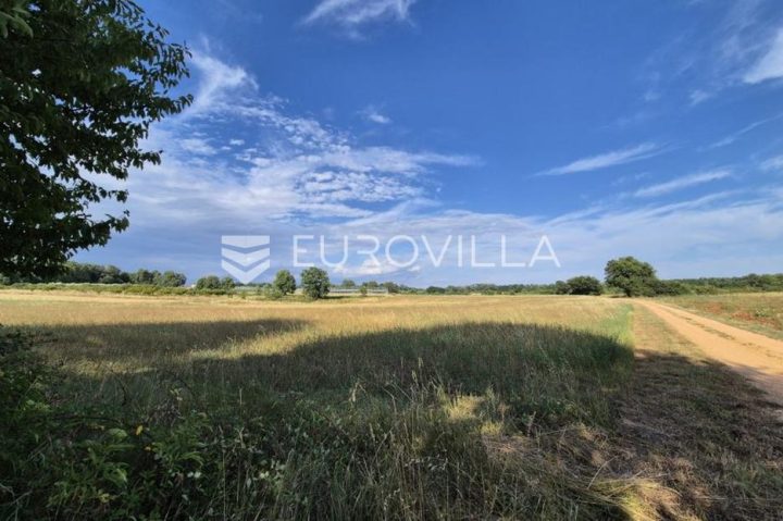 Terreno in vendita 32619 m² – Cerjani