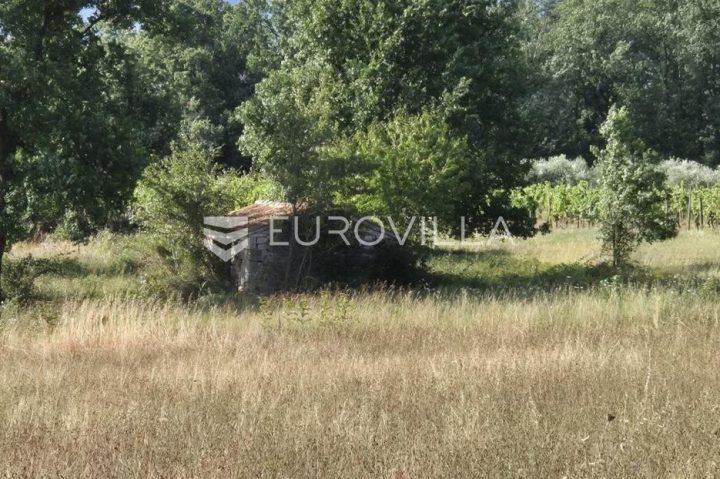 Grundstück Zu verkaufen - Istarska Kaštelir-labinci - foto 2/5