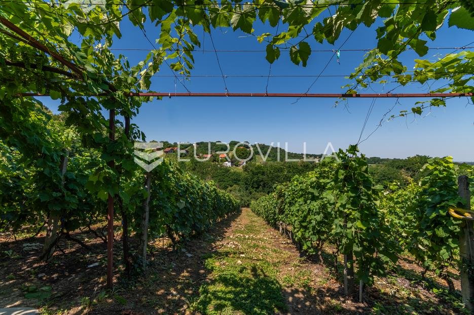 Maison À vendre - Koprivničko-križevačka Novigrad Podravski