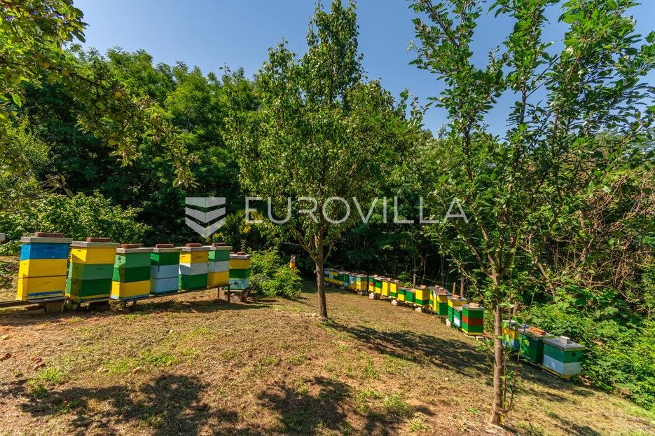 Maison À vendre - Koprivničko-križevačka Novigrad Podravski