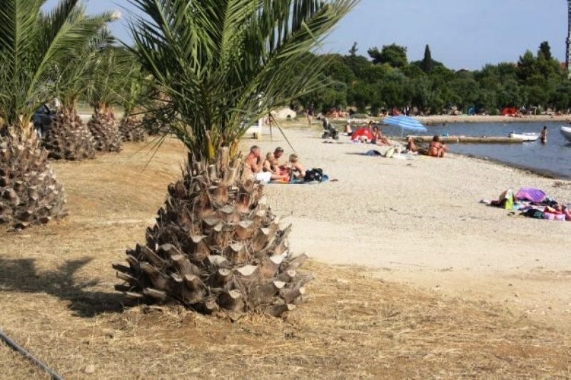 Hiša Naprodaj - ZADARSKA  Zadar