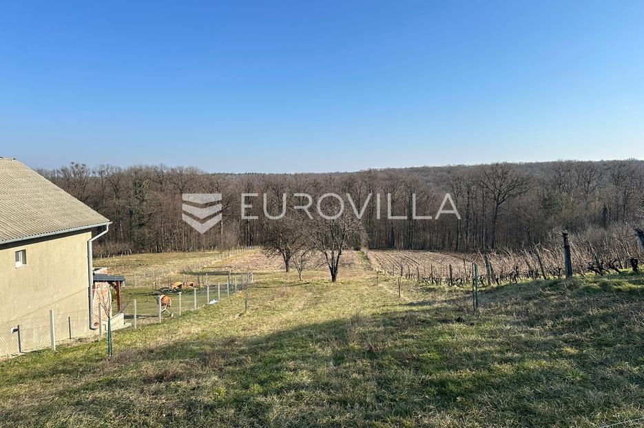 Land For sale - Osječko-baranjska Našice - foto 2/2