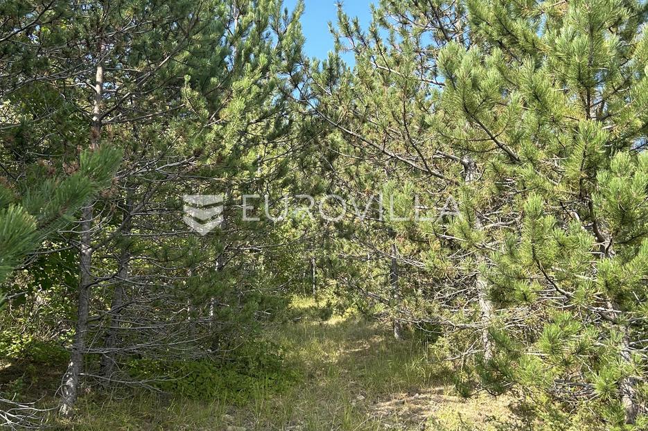 Land For sale -  Cerovlje