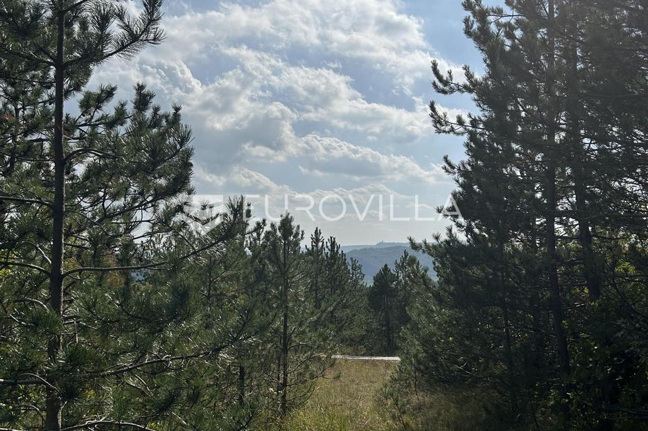 Land For sale -  Cerovlje