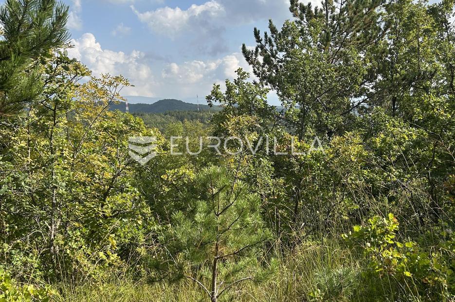 Land For sale -  Cerovlje