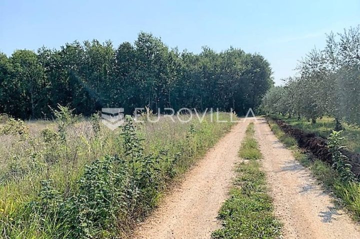 Parcela Naprodaj - Istarska Poreč - foto 4/4