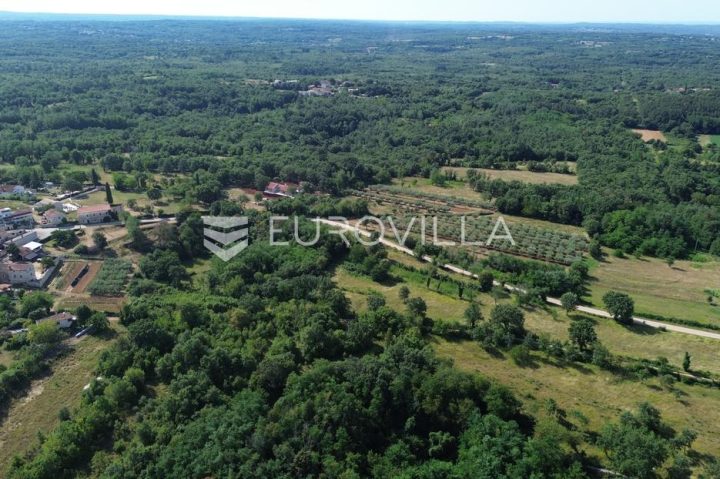 Pozemek Na prodej - Istarska Višnjan - foto 2/2