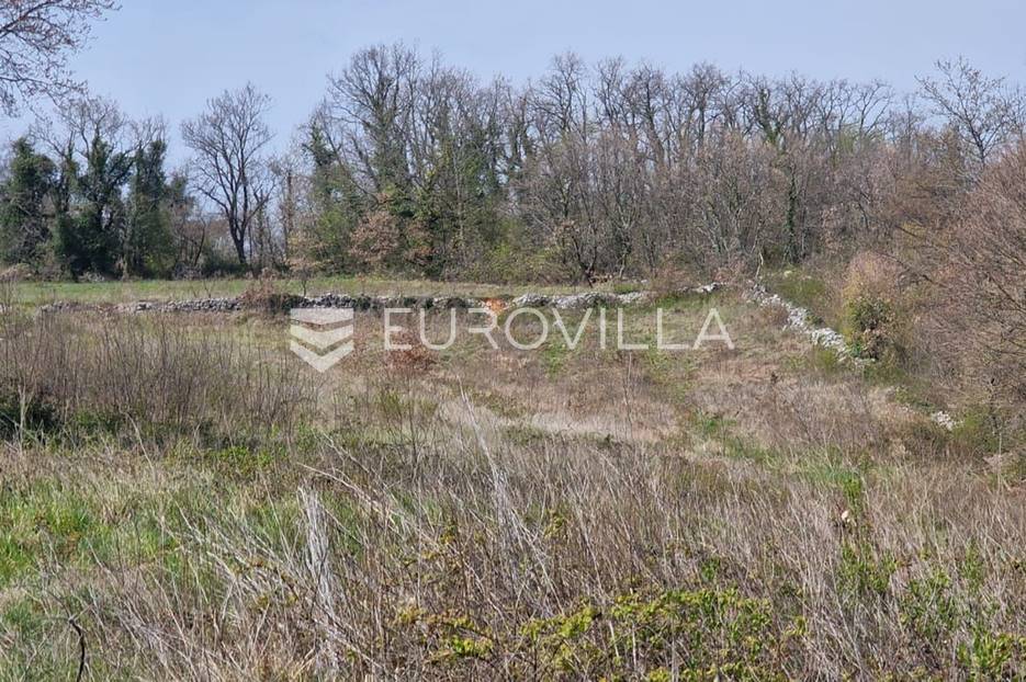 Terrain À vendre - Istarska Karojba - foto 3/5