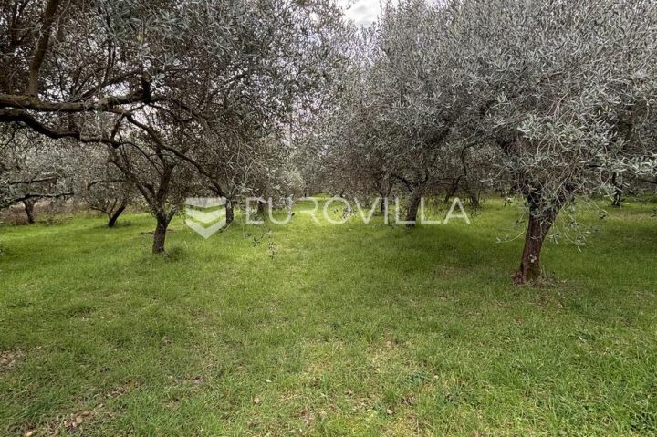 Land For sale - Istarska Pula - foto 3/3