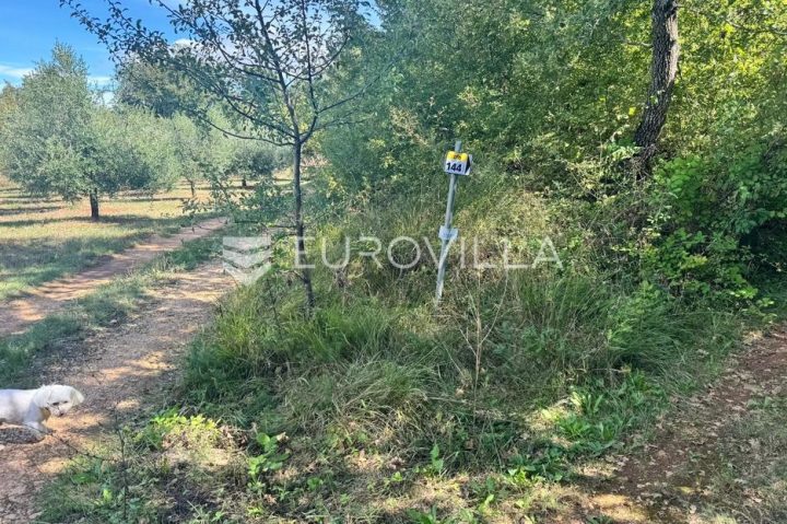 Grundstück Zu verkaufen - Istarska Poreč - foto 3/4