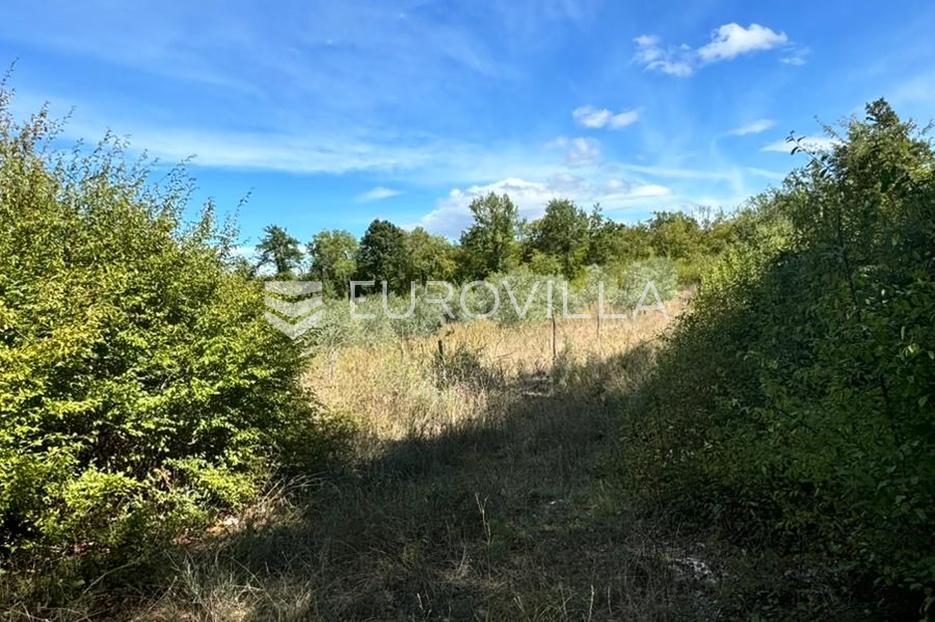 Land For sale Nova Vas