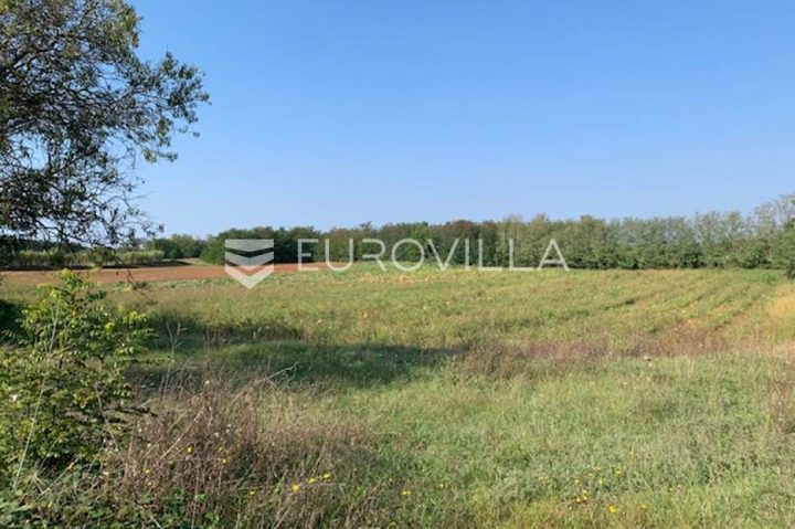 Pozemek na prodej 5021 m² – Dračevac