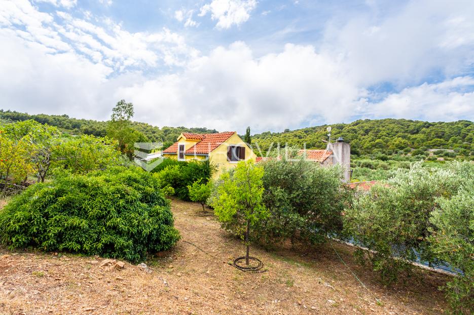 House For sale -  Vis