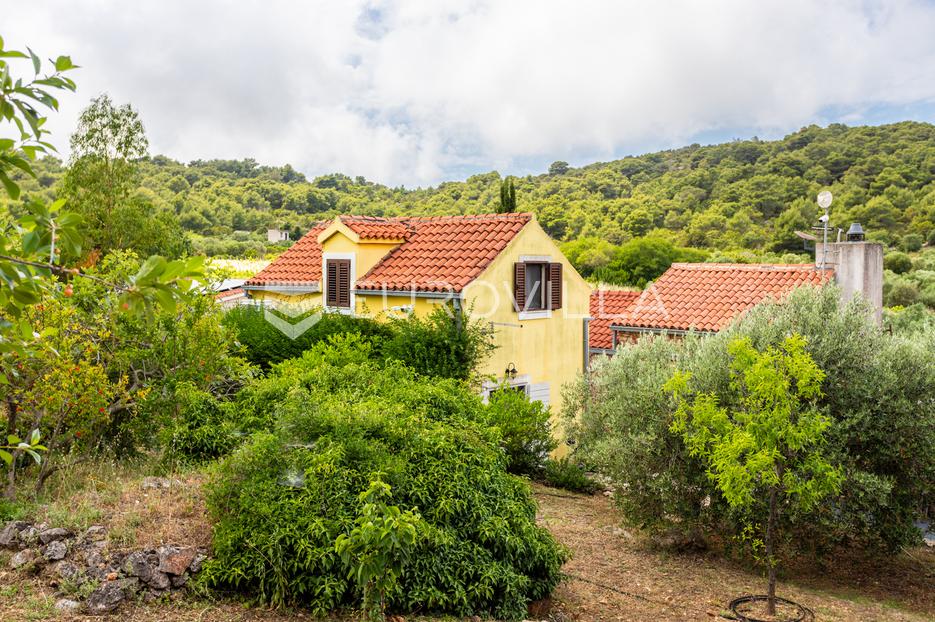 House For sale -  Vis