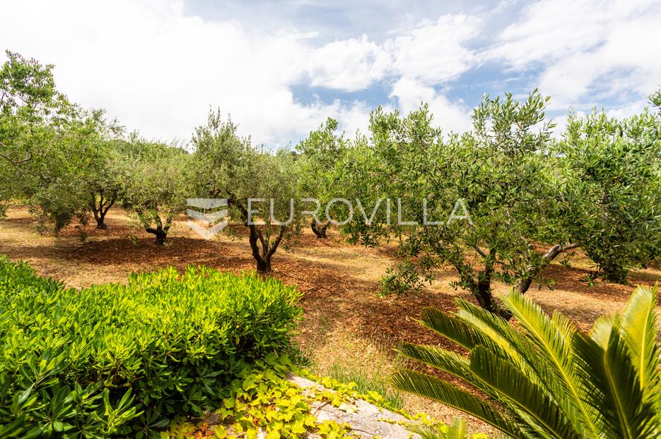 House For sale -  Vis