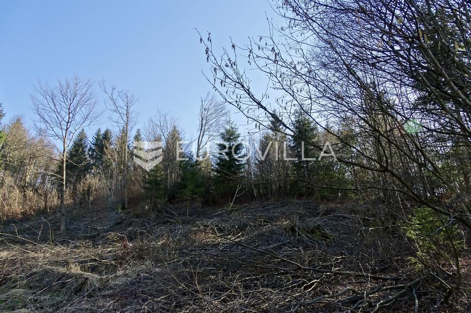 Terrain À vendre - Primorsko-goranska Delnice