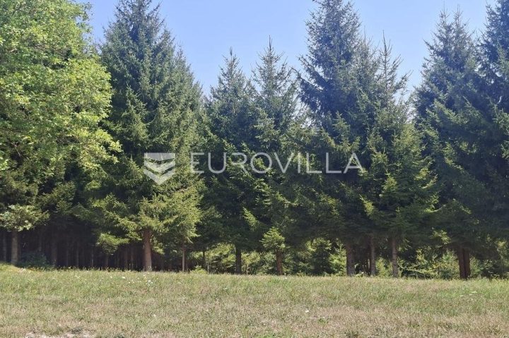 Pozemek na prodej 1006 m² – Kupjak