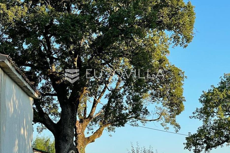 Parcela Na predaj - Istarska Motovun