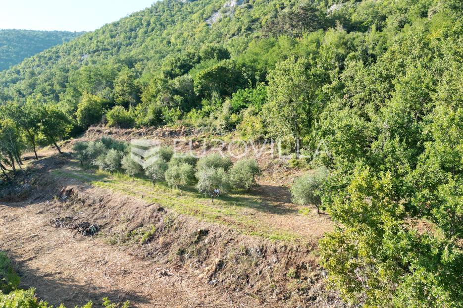 Terreno In vendita -  Oprtalj