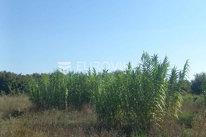 Land For sale - Istarska Pula - foto 5/5