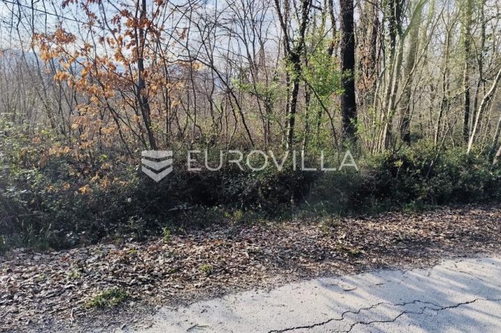 Terreno in vendita 12531 m² – Labin