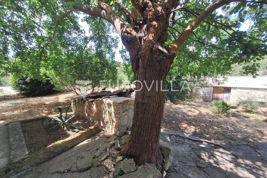 House For sale -  Vis