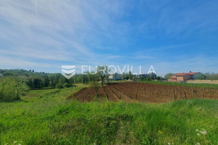 Terrain à vendre 4674 m² – Novaki Motovunski