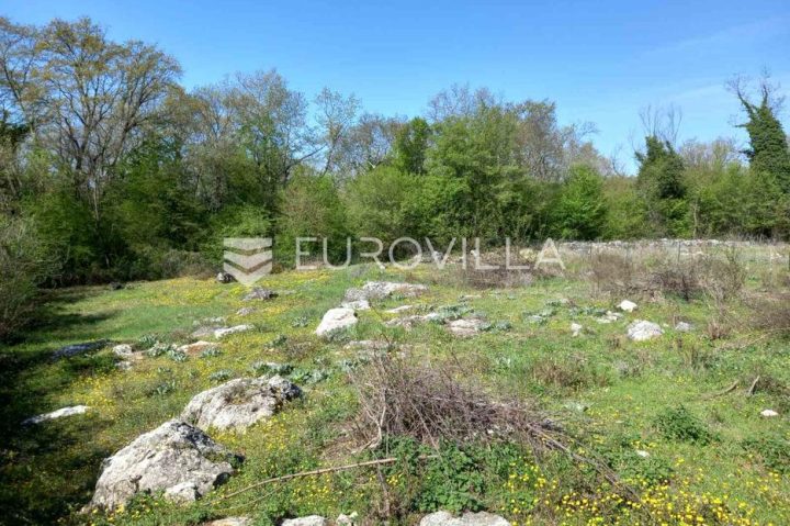 Zemljište Na prodaju - Istarska Sveti Lovreč - foto 2/2