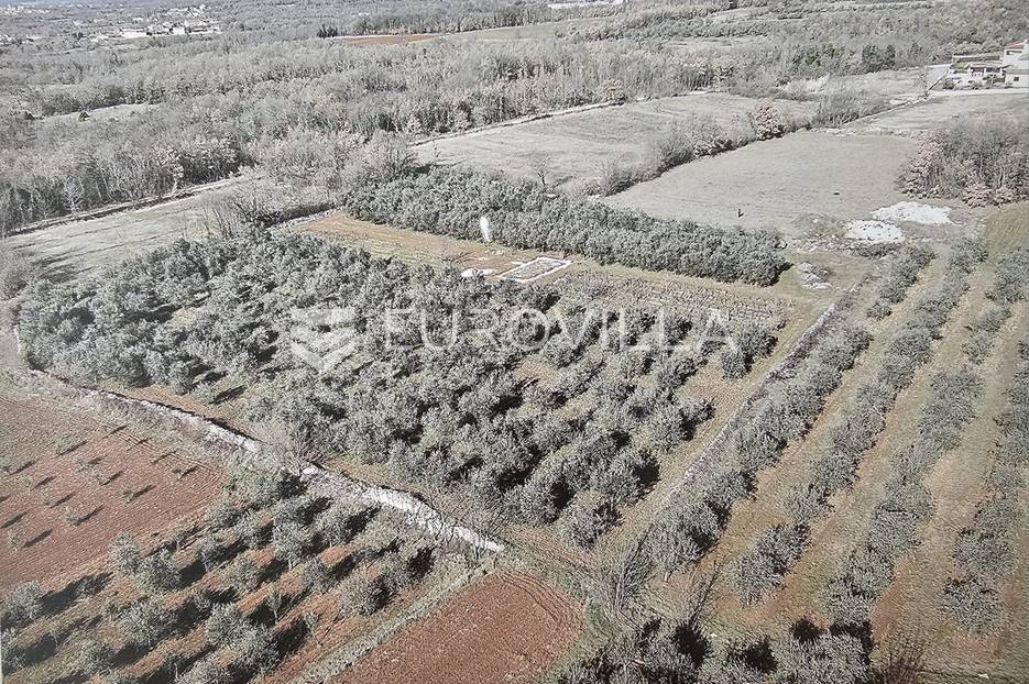 Parcela Naprodaj - Istarska Tinjan