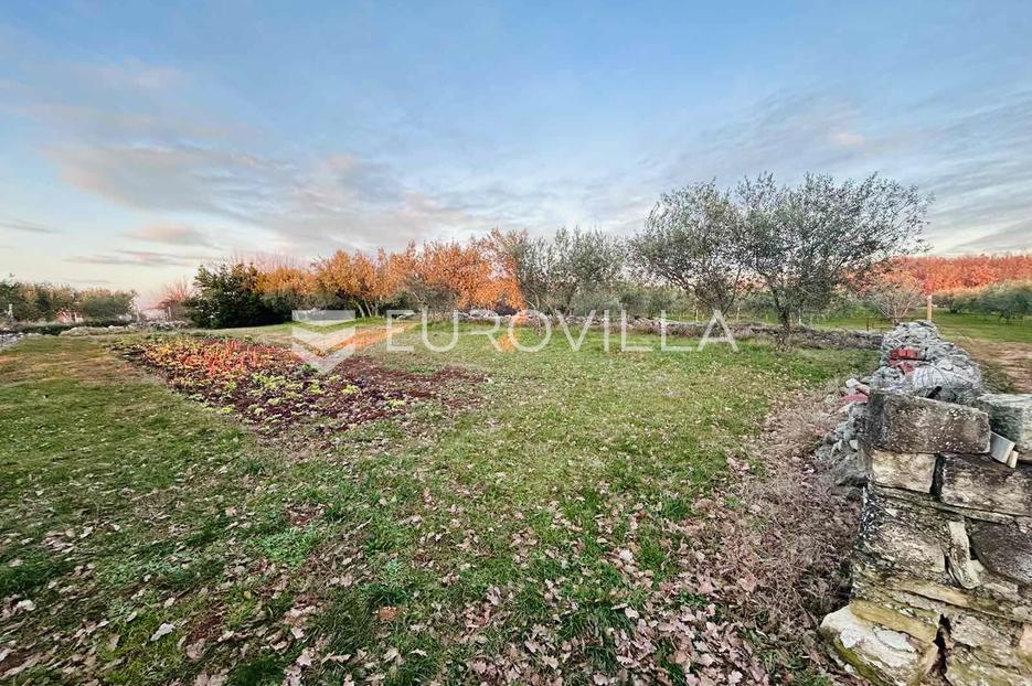 Terrain À vendre - Istarska Buje - foto 1/2
