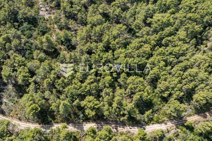 Land for sale 13303 m² – Prižba