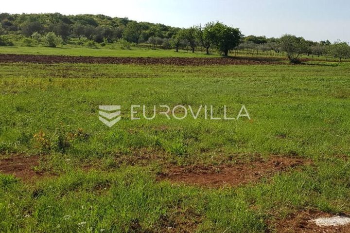 Pozemek na prodej 7217 m² – Rovinjsko Selo