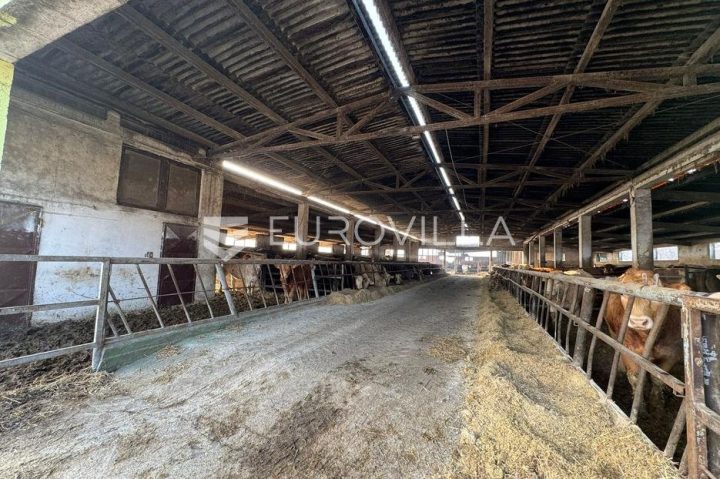 Locaux commerciaux À vendre - Osječko-baranjska đakovo - foto 2/11