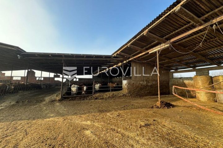 Locaux commerciaux À vendre - Osječko-baranjska đakovo - foto 4/11