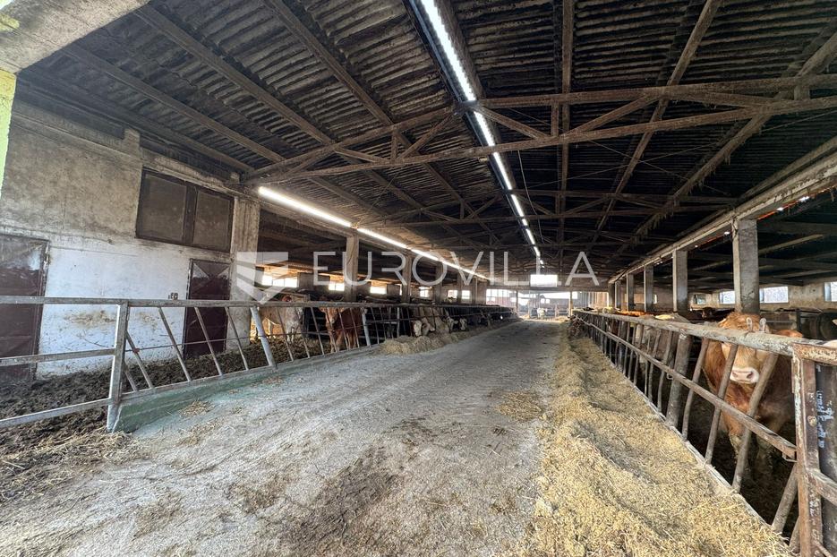 Lokal użytkowy Na sprzedaż -  Đakovo