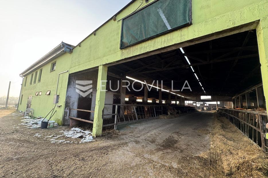 Lokal użytkowy Na sprzedaż -  Đakovo