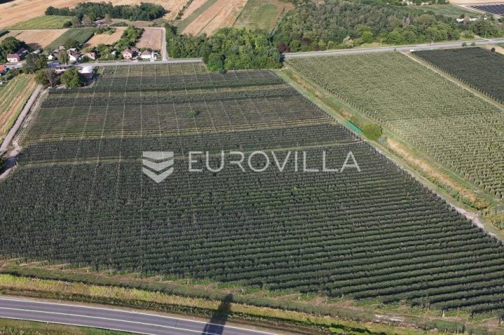 Grundstück zu verkaufen 162 m² – Švajcarnica