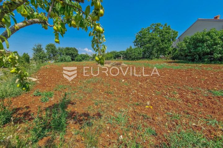Terrain à vendre 1119 m² – Novigrad